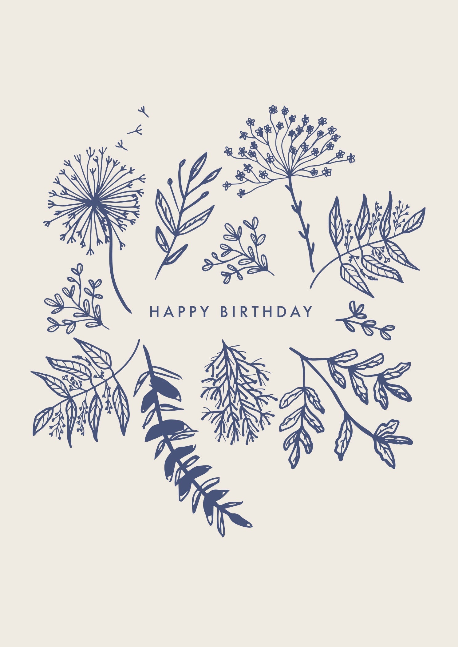 Greeting Card Dainty - DAISY FIELDS